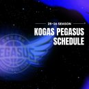 [대구/실내체육관] 한국가스공사 페가수스 프로농구단 안전요원 / 진행요원 모집_12월 10일 경기 이미지