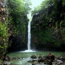 계곡의 아침 이미지