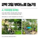 이레올래 이미지