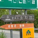 소자연 | 아이와 가기 좋은 지리산 천왕봉을 품은 경남 함양 숙소 - 소자연