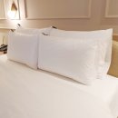 노다지PC랜드 | 용인 처인구 호텔 가성비 좋은 브라운도트 후기!