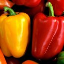 피망(piment)