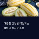경화 슈퍼 영종점(주) | 여름 보약, 참외의 놀라운 효능과 다이어트