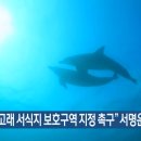 [KBS뉴스] “남방큰돌고래 서식지 보호구역 지정 촉구” 서명운동 이미지