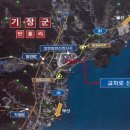 장안교차로 네이버블로그