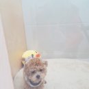 정윤에너지 이미지