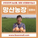 양파농장