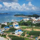 대일수산 티스토리