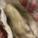 이모네포장마차 이미지