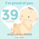 (주)성은컨설턴트 | [영국 임산부 38주, 39주차] Birth Plan 작성 & 유도분만 예약하기 Feat.육아용품