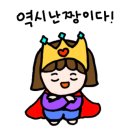 스카이애견 이미지