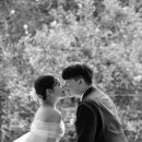 미유스튜디오 - 동구 지호로 136 | 미유스튜디오