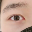 활짝핀 속눈썹 이미지