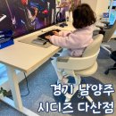 204 | 남양주 시디즈 링고 의자 내돈내산 구매 후기