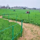 산수화농장 이미지