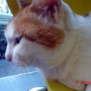 대인병원 이미지