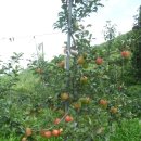 시흥-은행-시흥-004 이미지