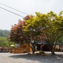 나무생각펜션 이미지