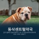 동삭센트럴약국 이미지