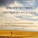 갈멜목장 이미지