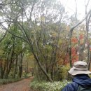 제주산전