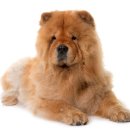 은계동물병원 이미지