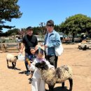 민경농장 이미지