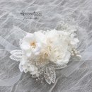 하베스헤어 이미지