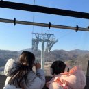 에버스노우 | 용인 에버랜드 겨울 크리스마스에 다녀온 후기/스노우버스터