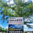 동백과노을2