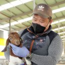 옥석리농로 뉴스1