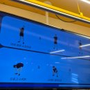 러너스하이 피트니스 신림 | 러너스하이 맞으며 운동하는 러너스하이 피트니스 신림점 방문 후기