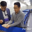 김영규농장 이미지