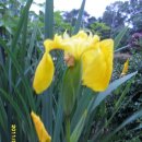 성경농장 이미지