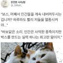 같이 이미지