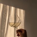 와인어때 이미지