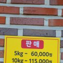 벚굴식당