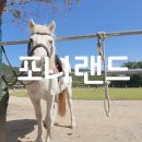 구수리 농장 | [동물원] 아기랑 자연 체험 울산 포니랜드 16개월에 말 타보다