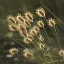 민행리더스 행정사사무소 이미지