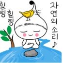 까치골식당 이미지