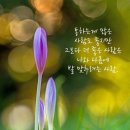 이종구낙지세상 이미지