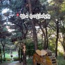 별내 유아숲체험원 이미지