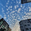 별내우리부동산공인중개사 사무소 이미지