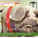 얌얌 이미지