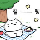 강릉 바다내음 캠핑장 이미지