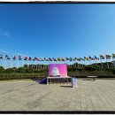 2024 JTBC마라톤 풀코스 후기