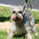 이아이앤테리어 이미지