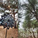 팝콘하우스 | 프립 혼펜 팝콘하우스 가평 1박 2일 여자혼자여행 후기 3탄