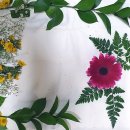 한마음펫 이미지