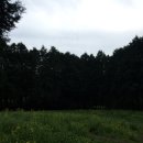 윤우목장 이미지